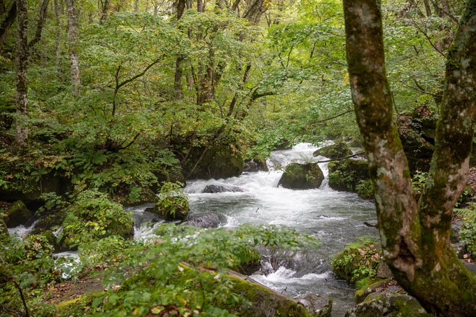 Retina %e5%a5%a5%e5%85%a5%e7%80%ac%e6%b8%93%e6%b5%81 7572