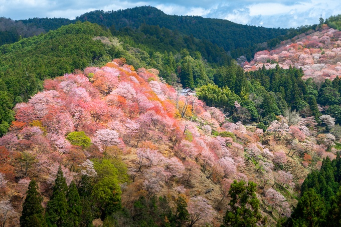 Retina gettyimages 1702337530