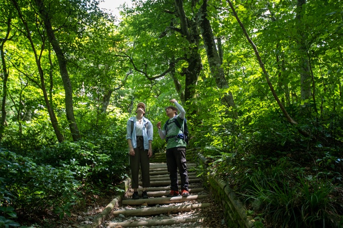 Retina %e3%83%95%e3%82%99%e3%83%8a%e6%9e%97%e3%83%84%e3%82%a2%e3%83%bc 6627